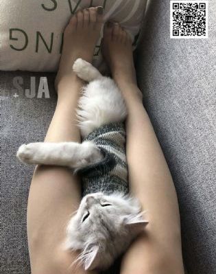 满天星灭火宝贝_影视大全视频